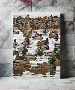 Πίνακας, Flock of Ducks on Water Κοπάδι από πάπιες στο νερό