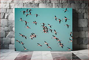 Πίνακας, Flock of Flamingos in Flight Σμήνος φλαμίνγκο σε πτήση