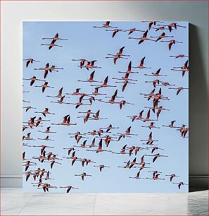Πίνακας, Flock of Flamingos in Flight Σμήνος φλαμίνγκο σε πτήση
