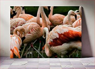 Πίνακας, Flock of Flamingos Κοπάδι Φλαμίνγκο