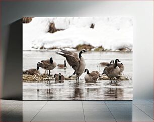 Πίνακας, Flock of Geese in Snowy Landscape Κοπάδι χήνων στο χιονισμένο τοπίο