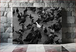 Πίνακας, Flock of Pigeons in Black and White Κοπάδι περιστεριών σε ασπρόμαυρο