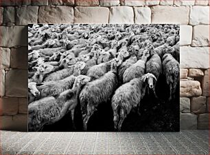 Πίνακας, Flock of Sheep Κοπάδι προβάτων