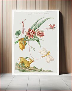 Πίνακας, Floral Design with Dog and Insects (1774) by Giacomo Cavenezia