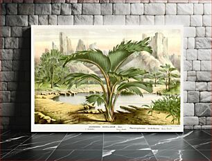 Πίνακας, Flore des serres et des jardins de l'Europe, Flora of European greenhouses and gardens (1862-1865) chromolithograph art by Louis Van Houtte
