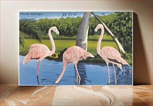 Πίνακας, Florida flamingos