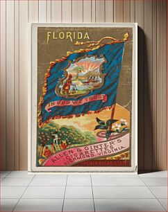 Πίνακας, Florida, from Flags of the States and Territories (N11) for Allen & Ginter Cigarettes Brands