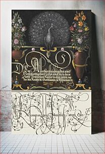 Πίνακας, Flower Arrangements, Peacock, Butterflies, and Insect from Mira Calligraphiae Monumenta or The Model Book of Calligraphy (1561–1596) by Georg Bocskay and Joris Hoefnagel