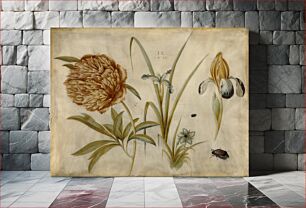 Πίνακας, Flowers and Beetles; Hans Hoffmann (German, about 1530 - 1591/1592)