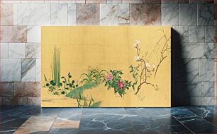 Πίνακας, Flowers and Plants of the Four Seasons (1759-1818)