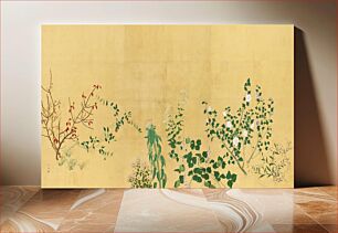 Πίνακας, Flowers and Plants of the Four Seasons (1759-1818)