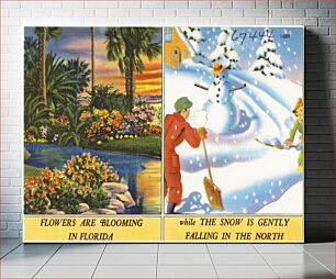 Πίνακας, Flowers are blooming in Florida while the snow is gently falling in the North