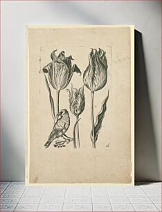Πίνακας, Flowers with Bird, Plate 16