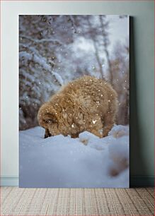 Πίνακας, Fluffy Dog in the Snow Χνουδωτό σκυλί στο χιόνι