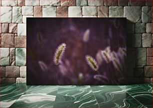 Πίνακας, Fluffy Plants in Focus Αφράτα φυτά στο επίκεντρο