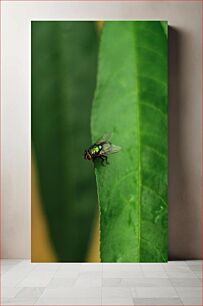 Πίνακας, Fly on a Leaf Πετάξτε σε ένα φύλλο