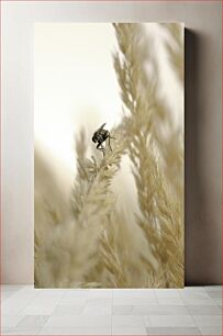 Πίνακας, Fly on Wheat Plant Fly on Wheat Plant