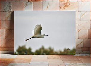 Πίνακας, Flying Egret Ιπτάμενος Τσικνιάς