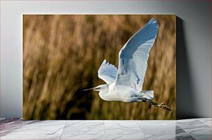 Πίνακας, Flying Egret Ιπτάμενος Τσικνιάς