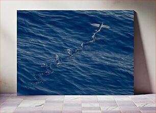 Πίνακας, Flying Fish Over Ocean Πετώντας Ψάρια πάνω από τον Ωκεανό