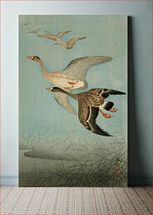 Πίνακας, Flying Geese by Ohara Shōson