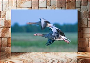 Πίνακας, Flying Geese in Nature Ιπτάμενες Χήνες στη Φύση