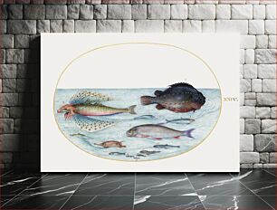 Πίνακας, Flying Gurnard, Male Lumpsucker, Longspine Snipefish and Other Fish (1575-1580) by Joris Hoefnagel