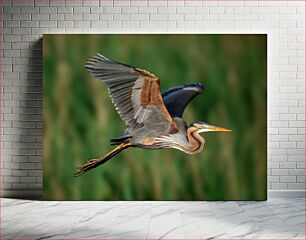 Πίνακας, Flying Heron in Mid-Air Flying Heron στον αέρα