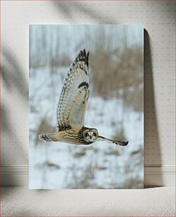 Πίνακας, Flying Owl in Snowy Landscape Ιπτάμενη κουκουβάγια στο χιονισμένο τοπίο