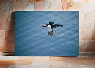 Πίνακας, Flying Puffin Over the Sea Flying Puffin Over the Sea