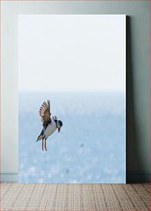 Πίνακας, Flying Puffin Over the Sea Flying Puffin Over the Sea