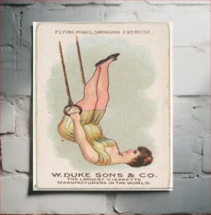 Πίνακας, Flying Rings Swinging Exercise, from the Gymnastic Exercises series (N77) for Duke brand cigarettes issued by W. Duke, Sons & Co