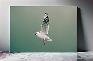 Πίνακας, Flying Seagull Ιπτάμενος Γλάρος