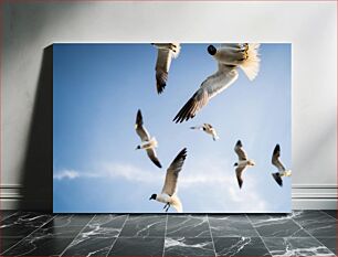 Πίνακας, Flying Seagulls in Blue Sky Ιπτάμενοι Γλάροι στο Μπλε Ουρανό