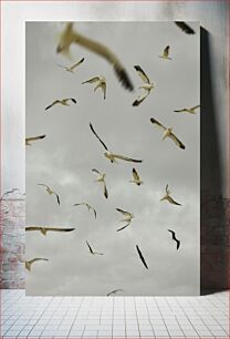 Πίνακας, Flying Seagulls Ιπτάμενοι Γλάροι