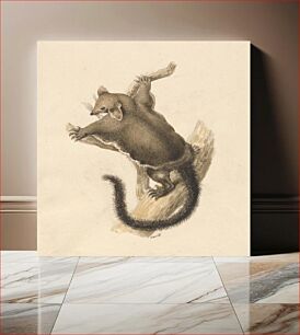 Πίνακας, Flying Squirrel