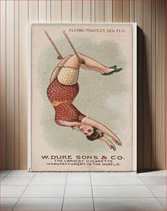 Πίνακας, Flying Trapeze Leg Fly, from the Gymnastic Exercises series (N77) for Duke brand cigarettes issued by W. Duke, Sons & Co