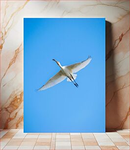 Πίνακας, Flying White Bird in Blue Sky Πετώντας λευκό πουλί στον μπλε ουρανό