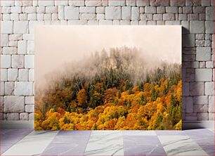 Πίνακας, Foggy Autumn Forest Ομιχλώδες φθινοπωρινό δάσος