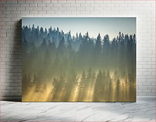 Πίνακας, Foggy Forest at Sunrise Ομιχλώδες δάσος στην ανατολή του ηλίου