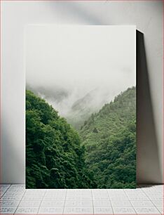 Πίνακας, Foggy Forest in the Mountains Ομιχλώδες δάσος στα βουνά