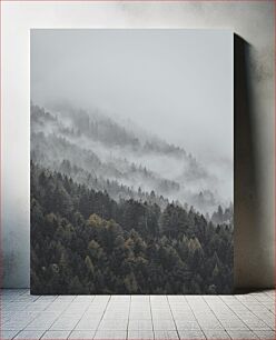 Πίνακας, Foggy Forest Ομιχλώδες Δάσος