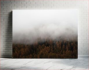 Πίνακας, Foggy Forest Ομιχλώδες δάσος