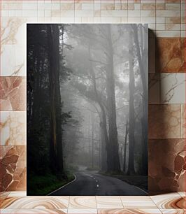 Πίνακας, Foggy Forest Road Ομιχλώδης Δάσος