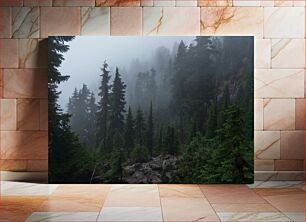 Πίνακας, Foggy Forest Scene Σκηνή ομιχλώδους δάσους