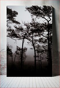 Πίνακας, Foggy Forest Silhouettes Ομιχλώδεις Σιλουέτες Δάσους