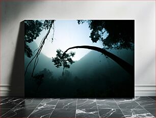 Πίνακας, Foggy Forest Silhouettes Ομιχλώδεις Σιλουέτες Δάσους