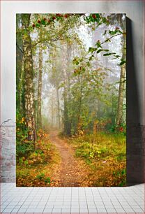 Πίνακας, Foggy Forest Trail Μονοπάτι Ομίχλης Δάσους