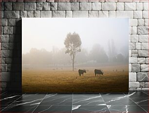 Πίνακας, Foggy Morning Pasture Ομιχλώδες Πρωινό Βοσκότοπο