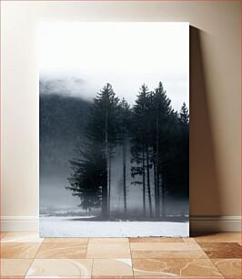 Πίνακας, Foggy Pine Forest Ομιχλώδες πευκοδάσος